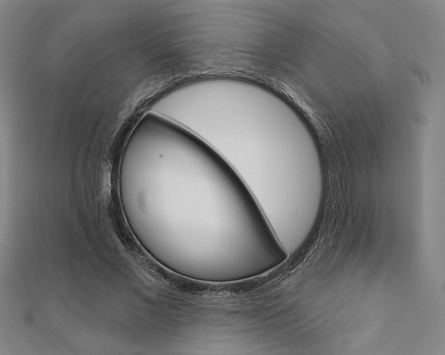 X0000110960685200906191050