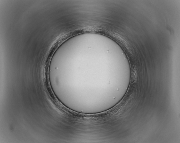 X0000110960686200906191050
