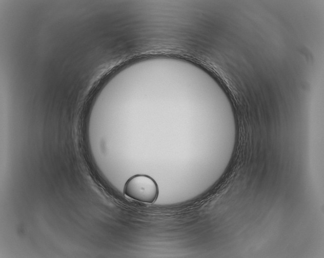 X0000110960688200906191050