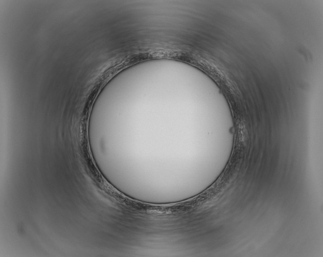X0000110960690200906191050