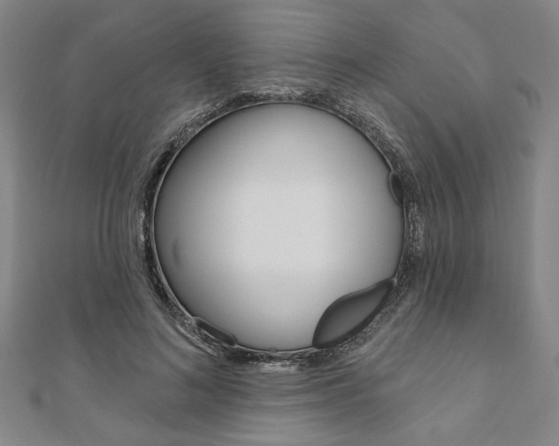 X0000110960692200906191050