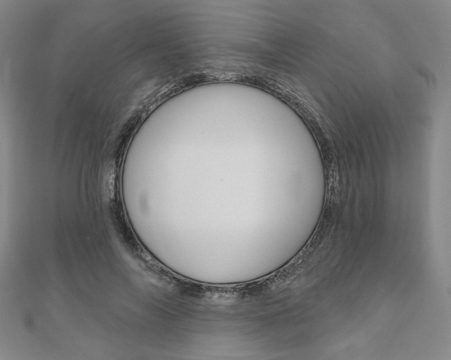 X0000110960694200906191050