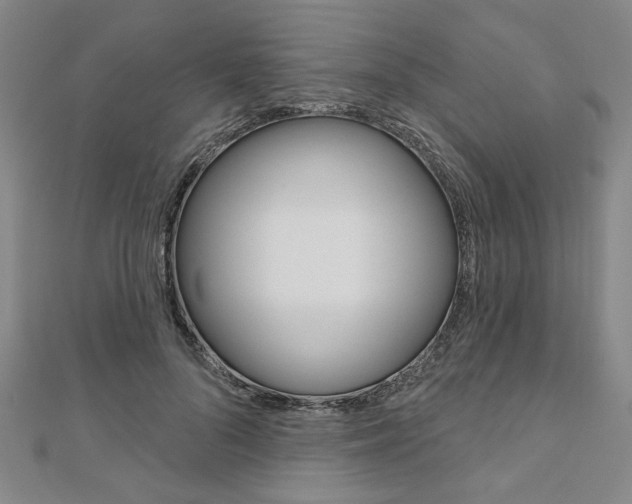 X0000110960696200906191050