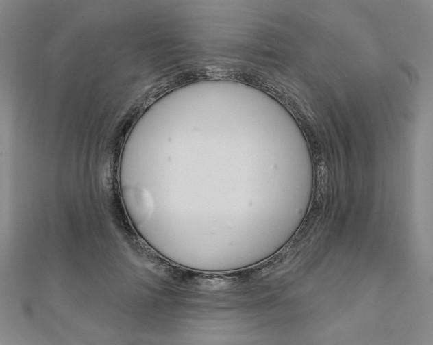 X0000110960698200906191050