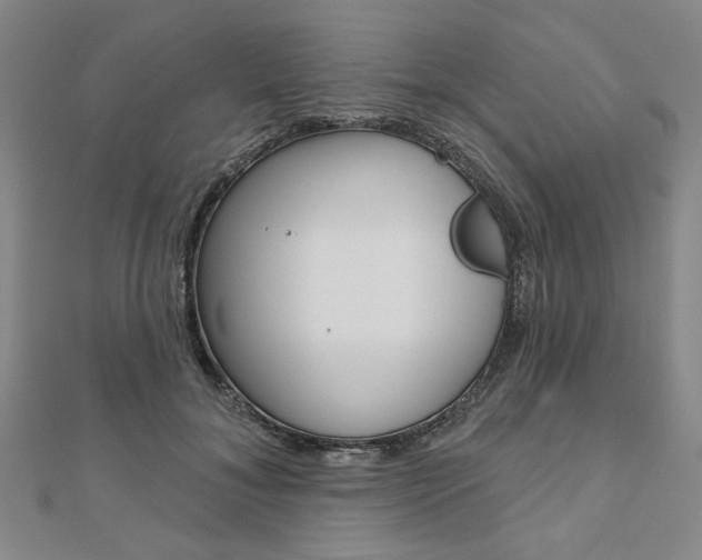 X0000110960700200906191049