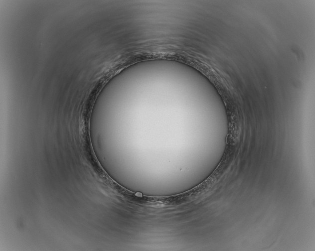 X0000110960704200906191049