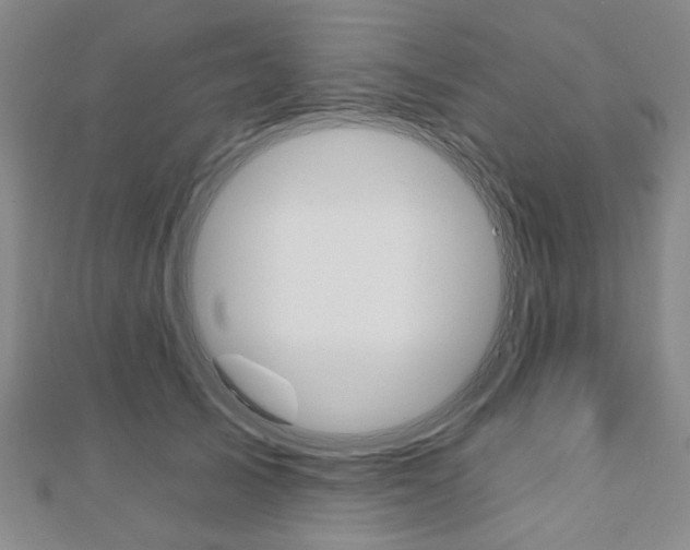 X0000110960705200906191049