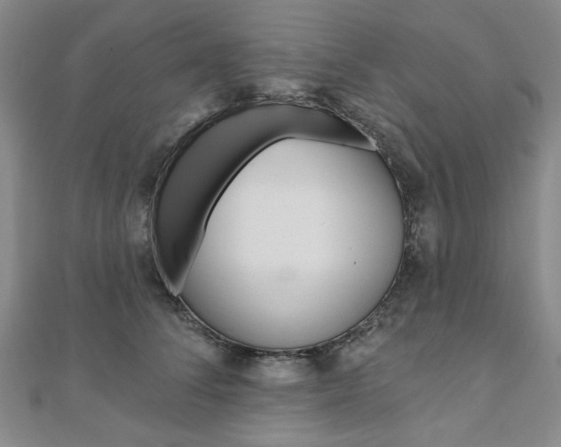 X0000110960708200906191049