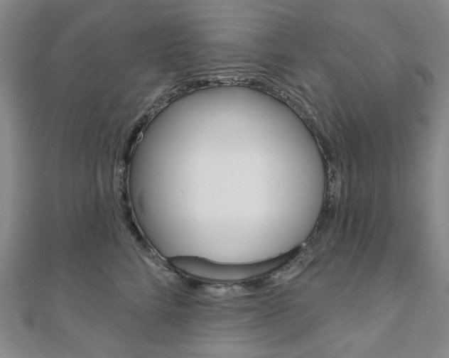 X0000110960712200906191049