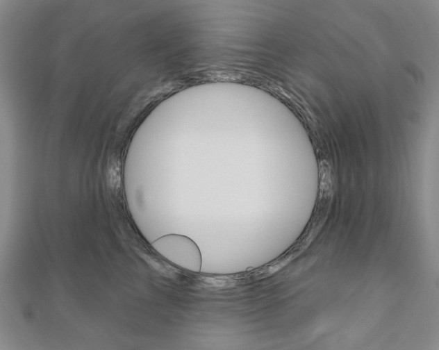 X0000110960713200906191049