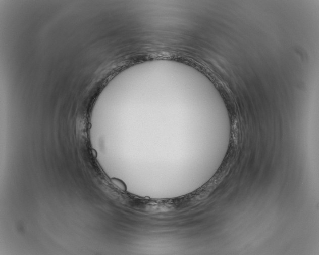 X0000110960714200906191049