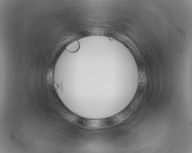 X0000110960717200906191049