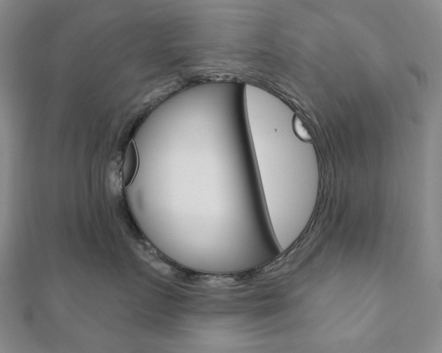 X0000110960719200906191049