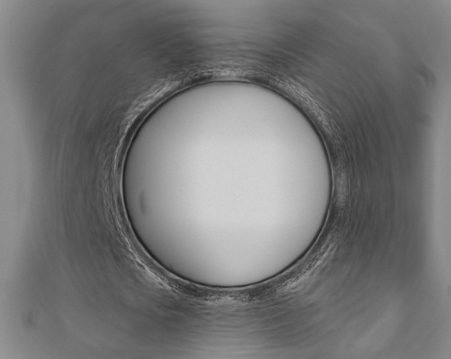 X0000110960721200906191049
