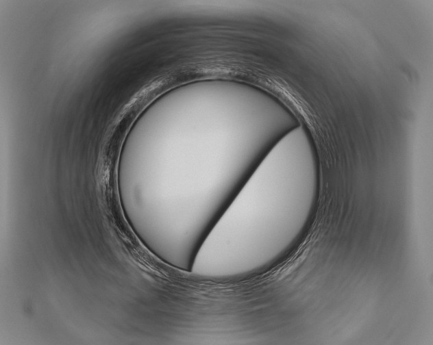 X0000110960723200906191049