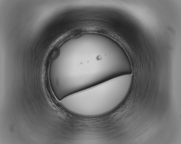 X0000110960724200906191049