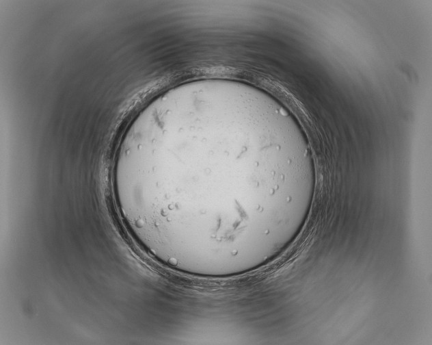 X0000110960725200906191049