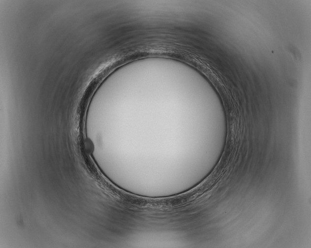 X0000110960727200906191049