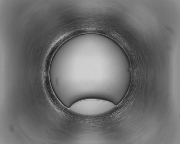 X0000110960728200906191049