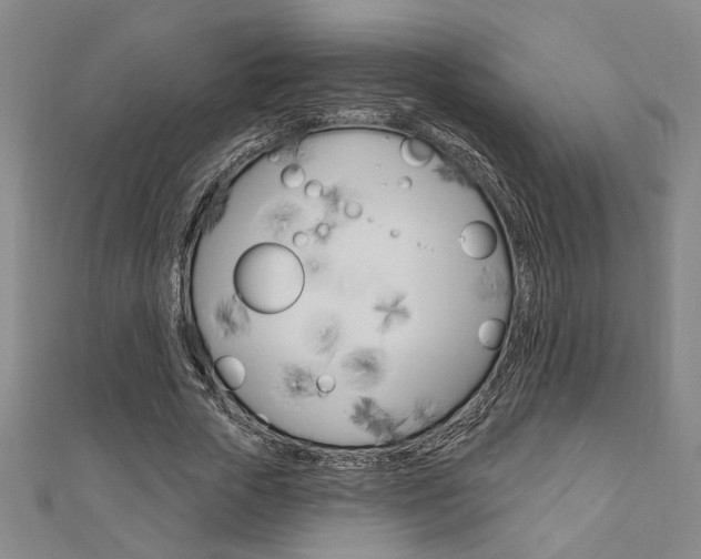 X0000110960729200906191049