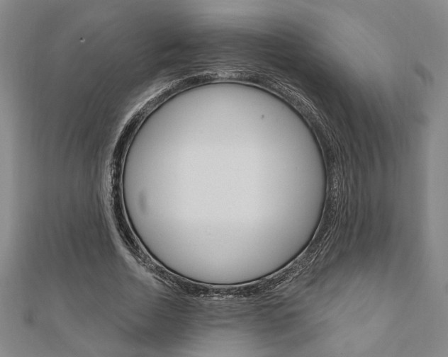 X0000110960730200906191049