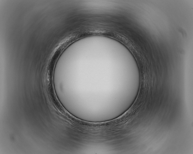 X0000110960731200906191049