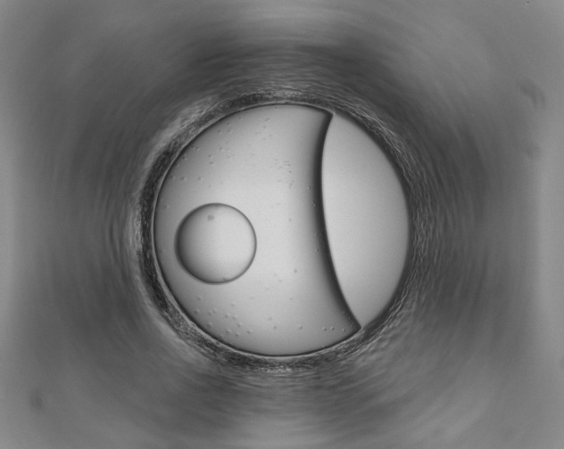 X0000110960734200906191049
