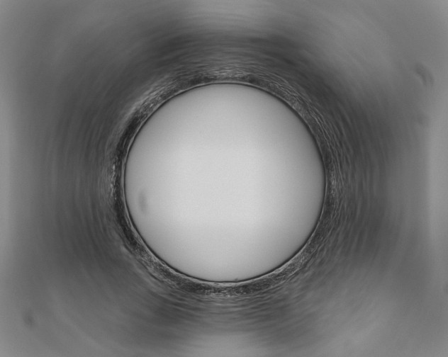 X0000110960735200906191049