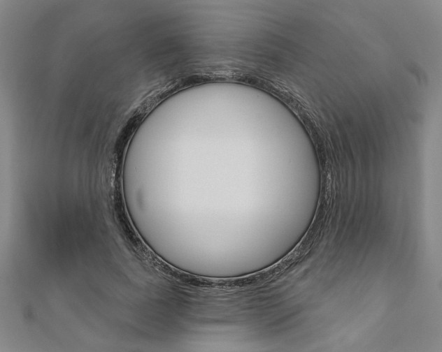 X0000110960739200906191049