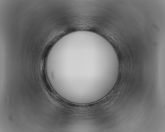 X0000110960742200906191049
