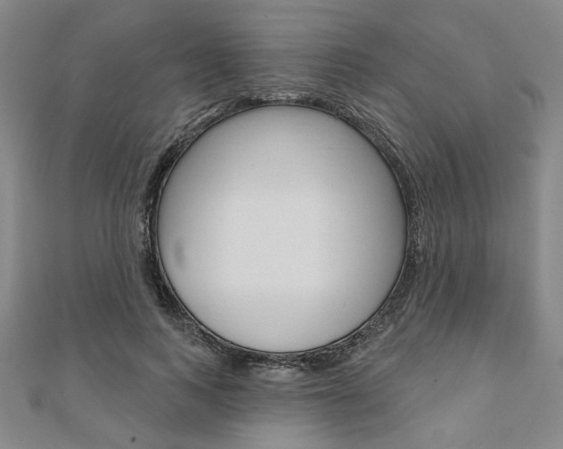 X0000110960743200906191049