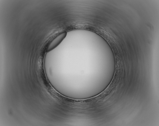 X0000110960744200906191049