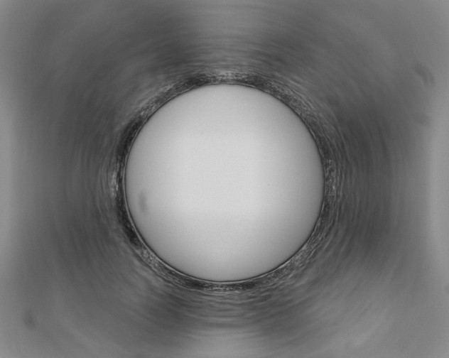 X0000110960746200906191049