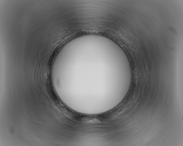 X0000110960747200906191049