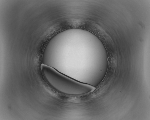 X0000110960750200906191049