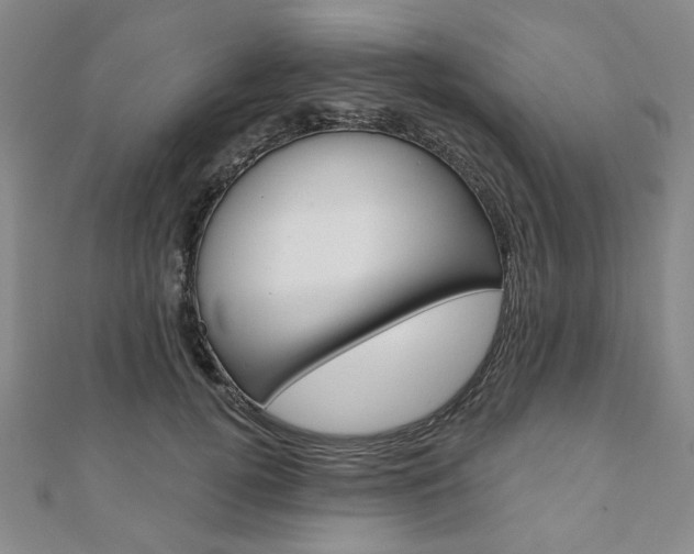 X0000110960752200906191049