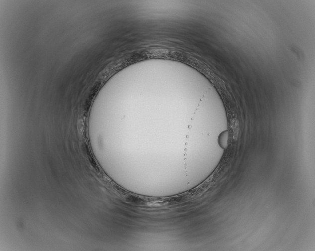 X0000110960753200906191049