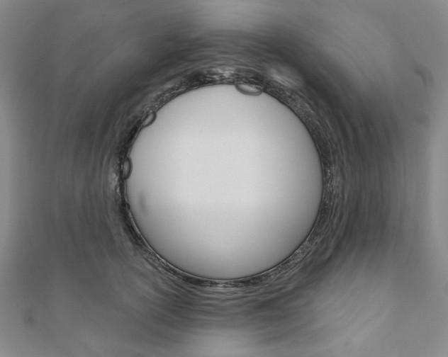 X0000110960754200906191049