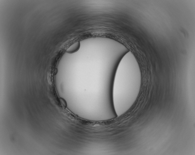 X0000110960755200906191049