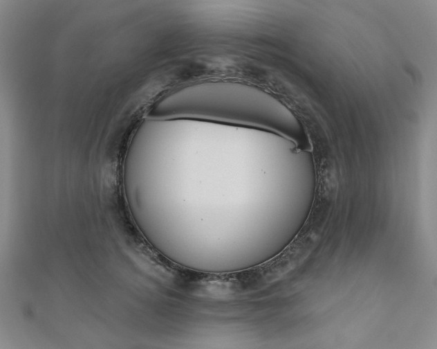 X0000110960756200906191049