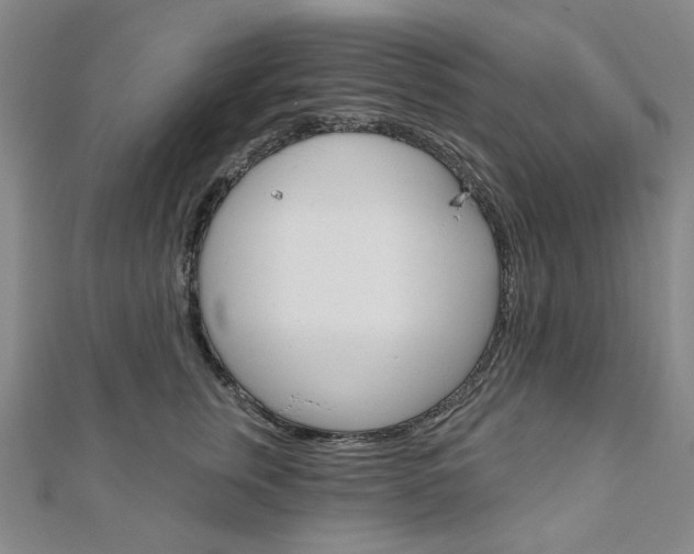 X0000110960759200906191049