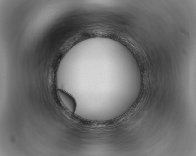 X0000110960760200906191049