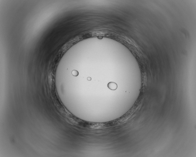 X0000110960761200906191049