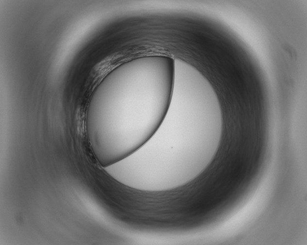 X0000110960766200906191049