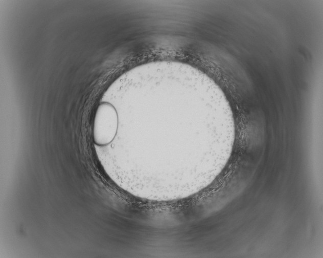 X0000110960769200906191049