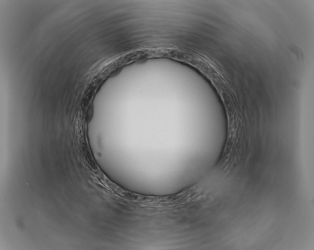 X0000110960773200906191049