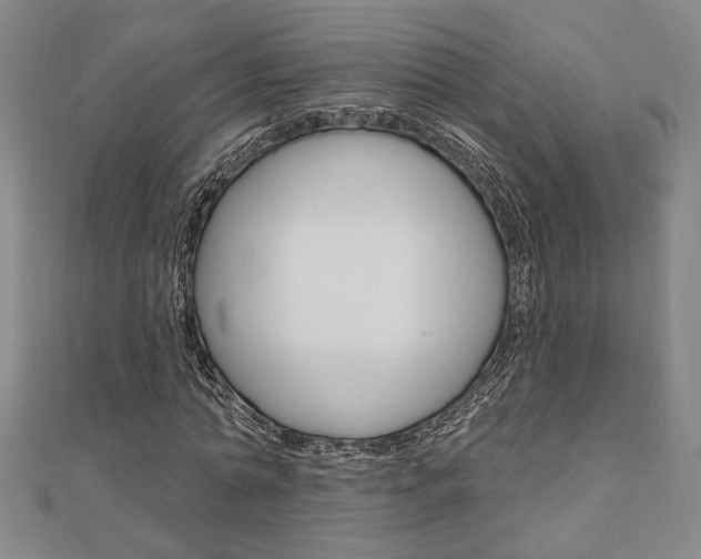 X0000110960774200906191049