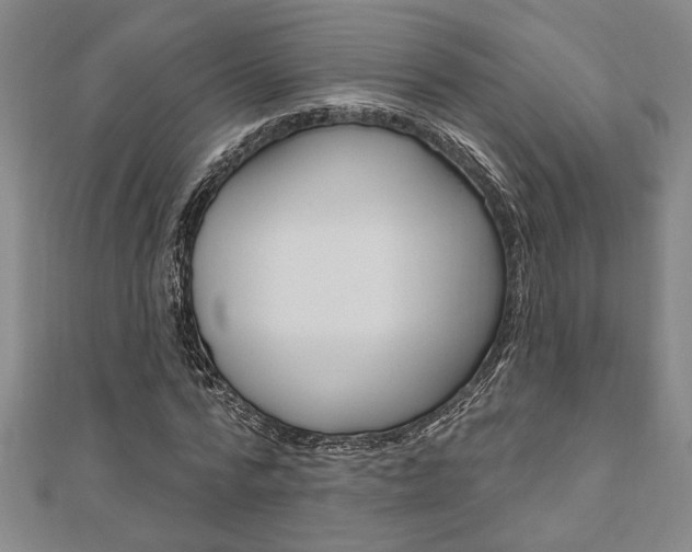 X0000110960776200906191049