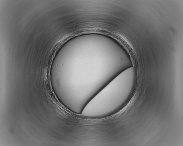 X0000110960777200906191048
