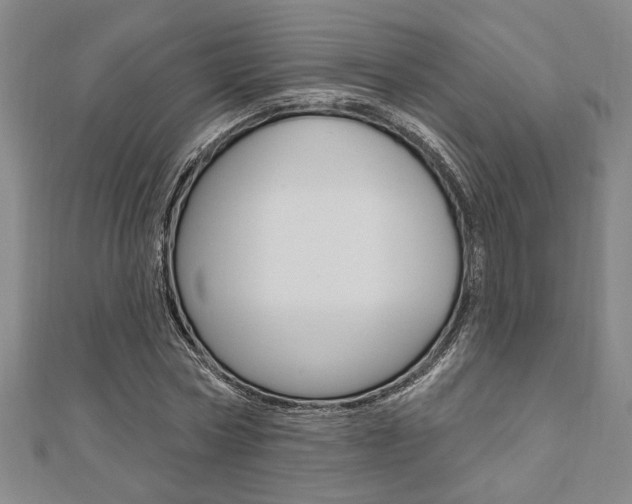 X0000110960778200906191048